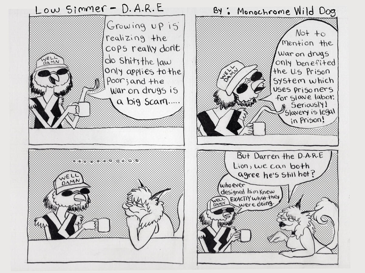 Low Simmer-D.A.R.R.E.N